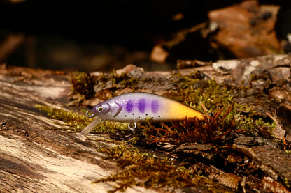 Dart Minnow - Purple