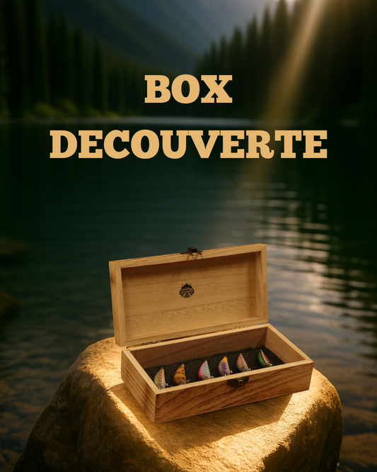 Box Découverte