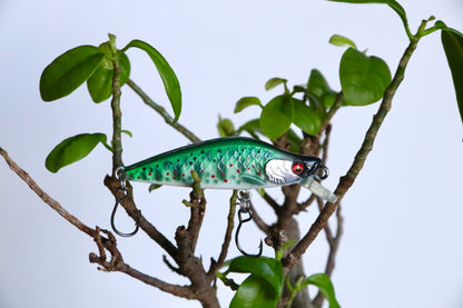 Green Minnow