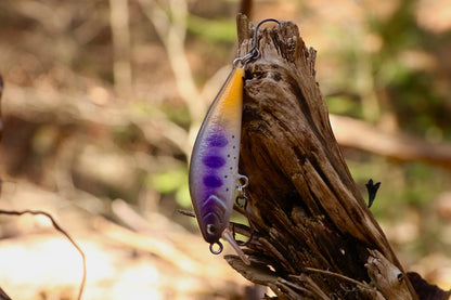 Dart Minnow - Purple
