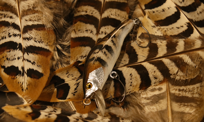 Feather 55 - Signature