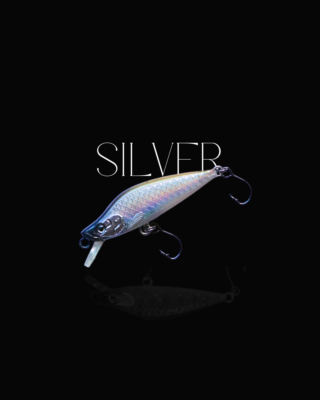 Silver Minnow