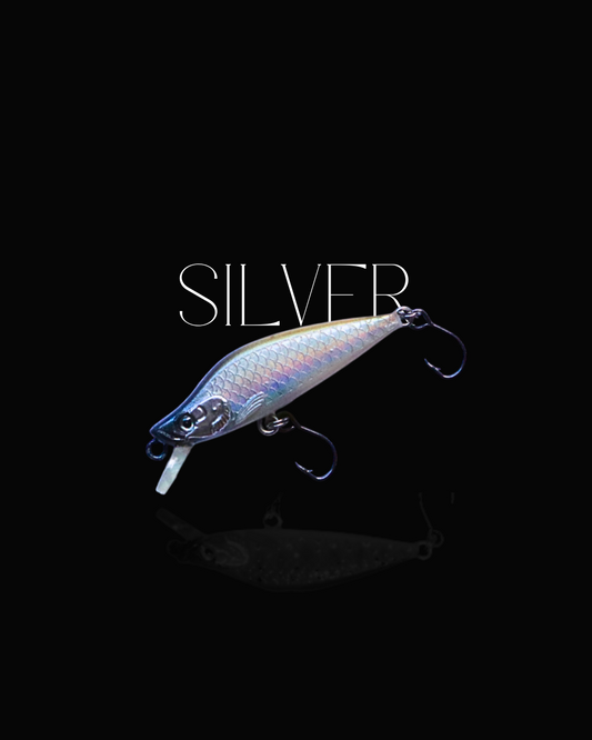 Silver Minnow